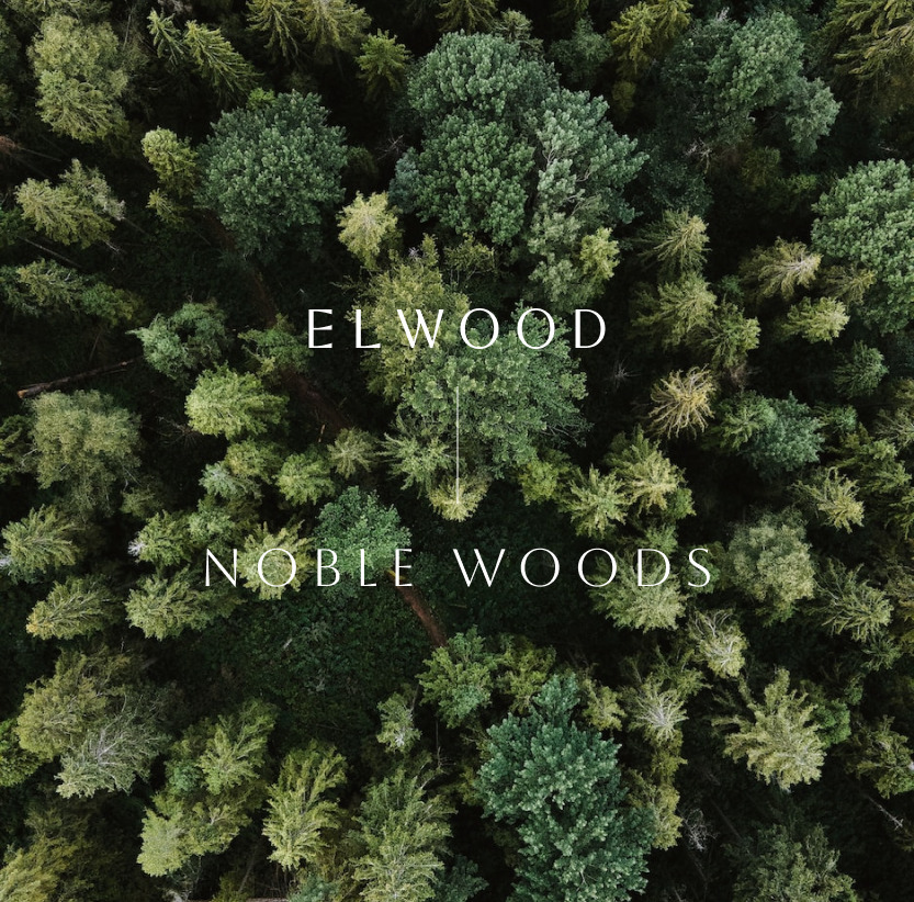 The Elwood name takes inspiration from the ‘noble woods,’ which refers to an elder tree forest